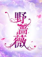 刘小柔向柏凯短剧